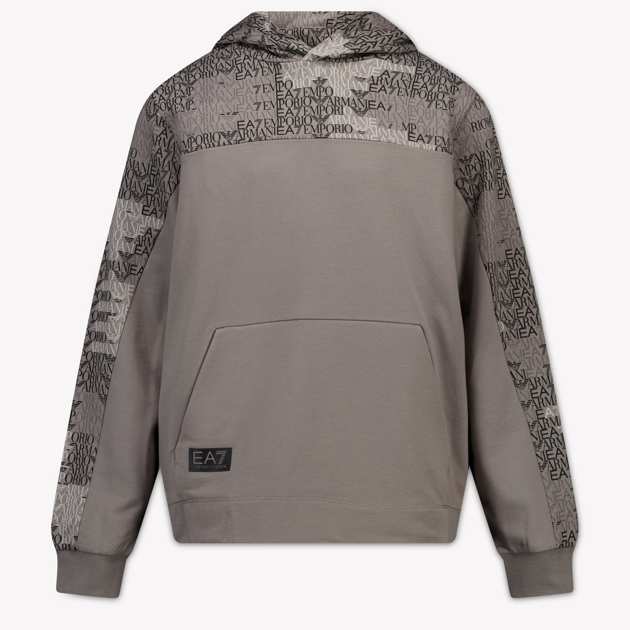 EA7 Kinder Jungen Pullover rein Hellgrau