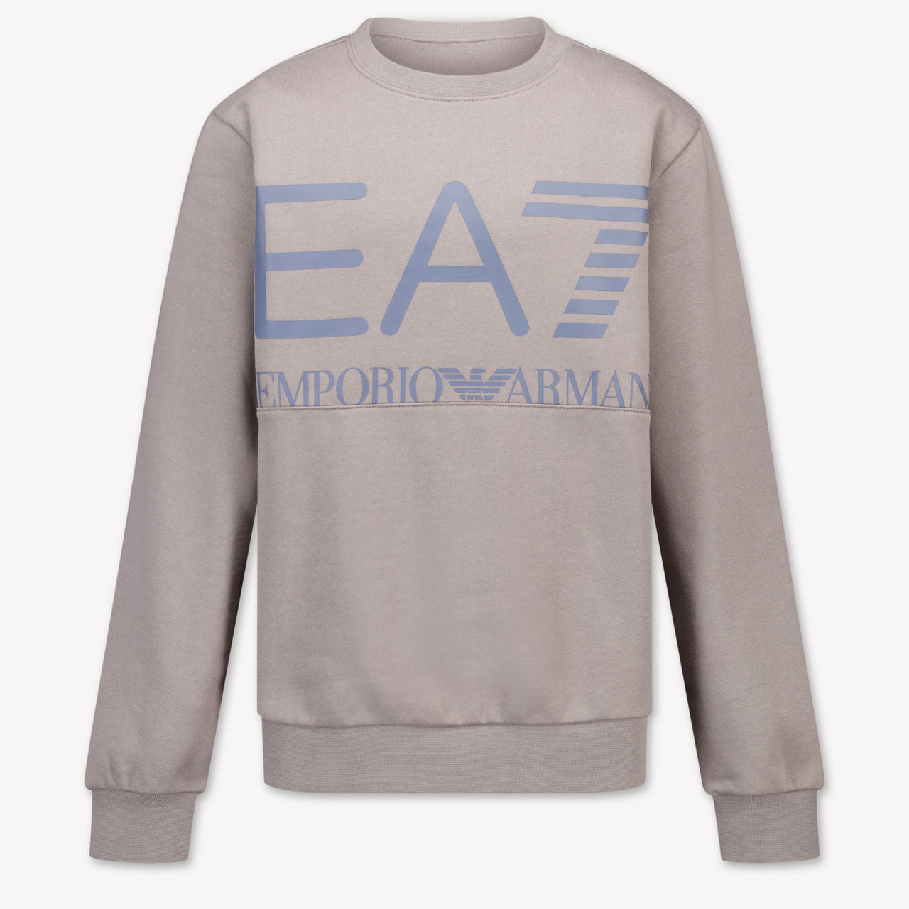 EA7 Jungen Pullover in Hellgrau
