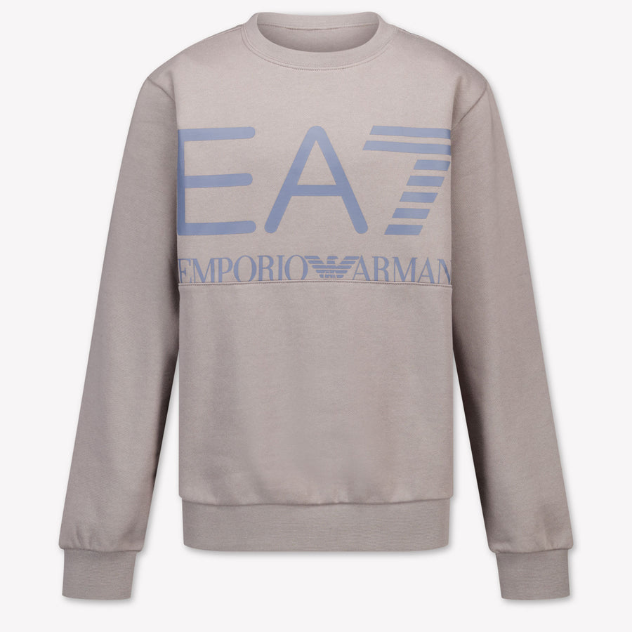 EA7 Jungen Pullover in Hellgrau