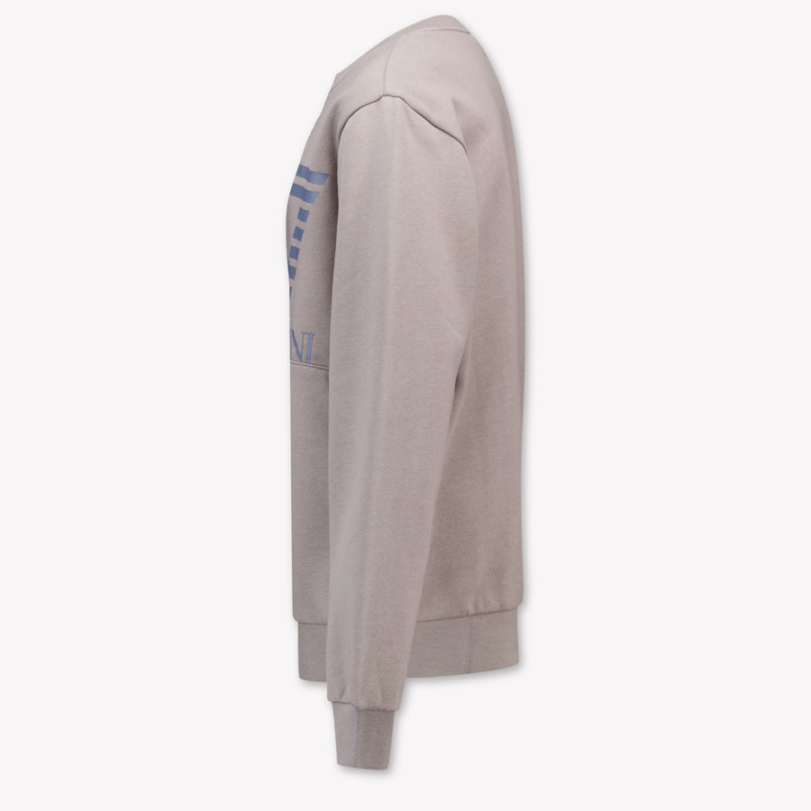 EA7 Jungen Pullover in Hellgrau