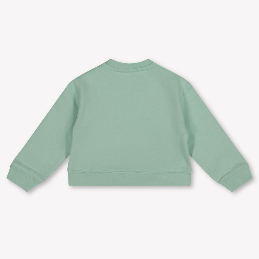 Palm Angels Baby Jungen Pullover rein Hellgrün