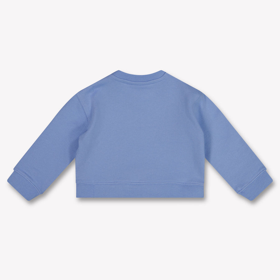 Palm Angels Baby Jungen Pullover rein Hellblau