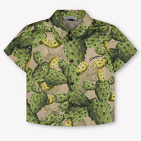 Dolce & Gabbana Baby Jungen Bluse rein Grün