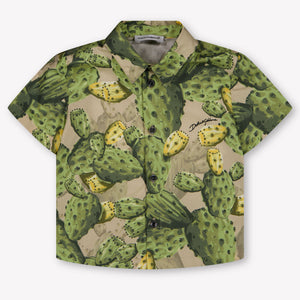 Dolce & Gabbana Baby Jungen Bluse rein Grün