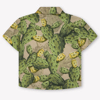 Dolce & Gabbana Baby Jungen Bluse rein Grün