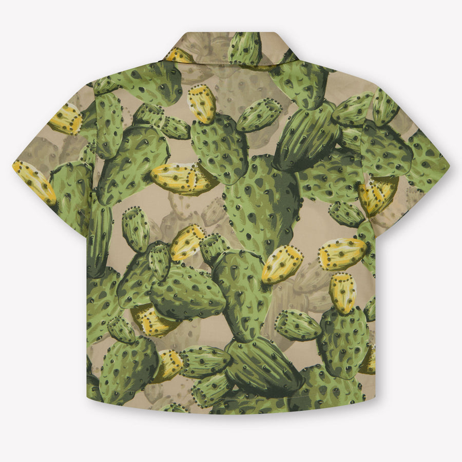 Dolce & Gabbana Baby Jungen Bluse rein Grün