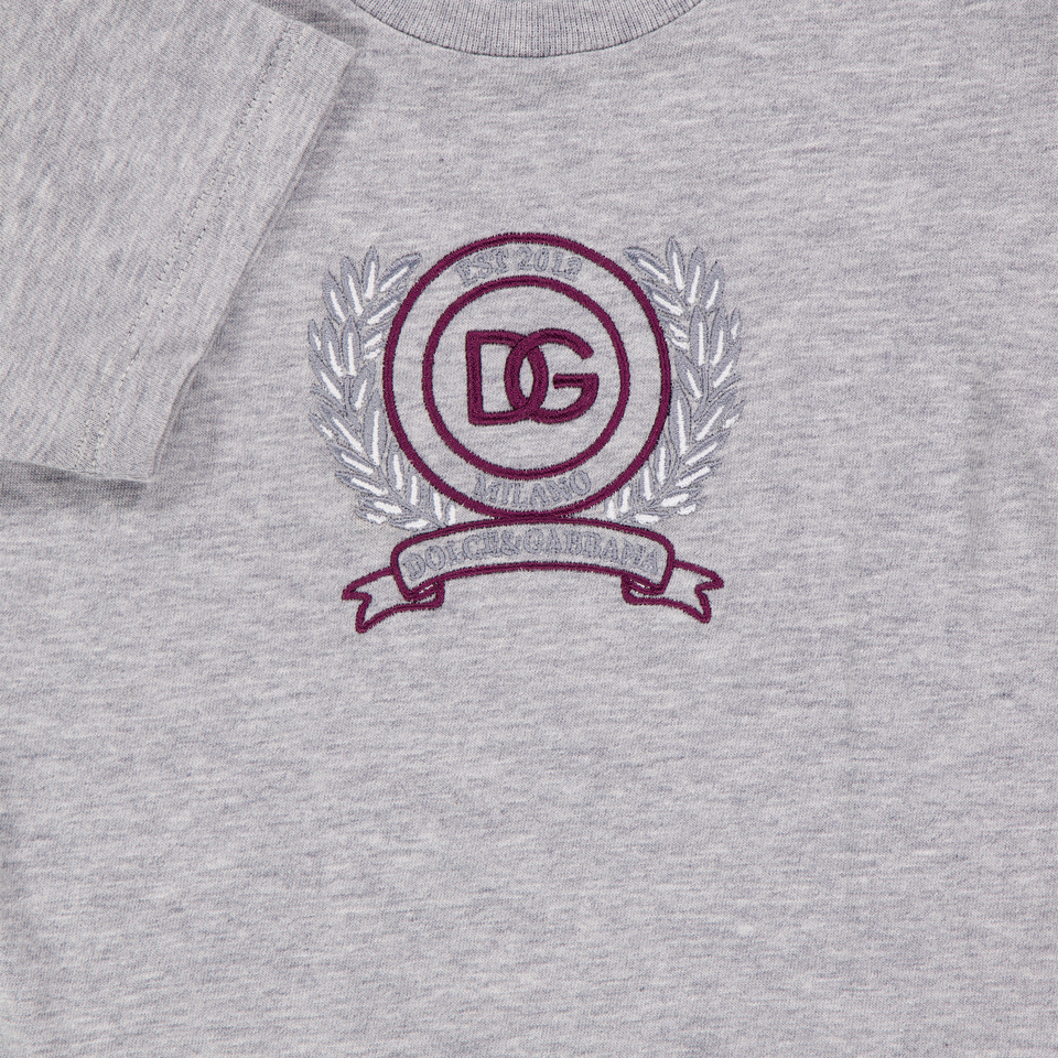 Dolce & Gabbana Bambino Ragazzi Maglietta dentro Grigio