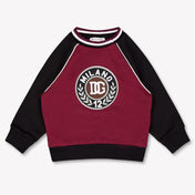 Dolce & Gabbana Bambino Ragazzi Maglione dentro Bordeaux