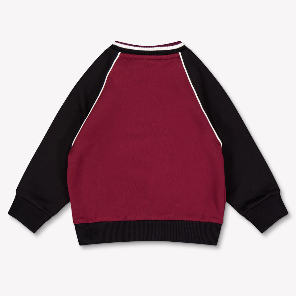 Dolce & Gabbana Bambino Ragazzi Maglione dentro Bordeaux