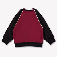 Dolce & Gabbana Bébé Garçons Pull En Bordeaux