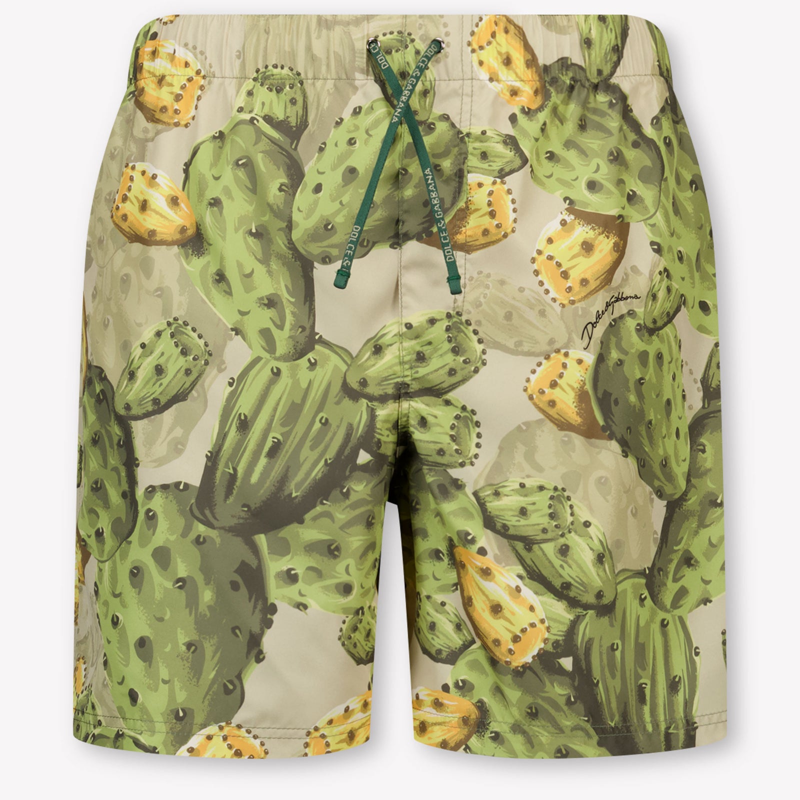 Dolce & Gabbana niños Chicos Traje de baño en Verde