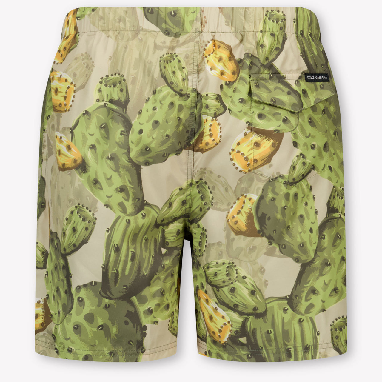 Dolce & Gabbana Kinder Jongens Zwemkleding In Groen