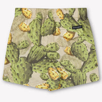 Dolce & Gabbana Bébé Garçons Maillots de bain Vert