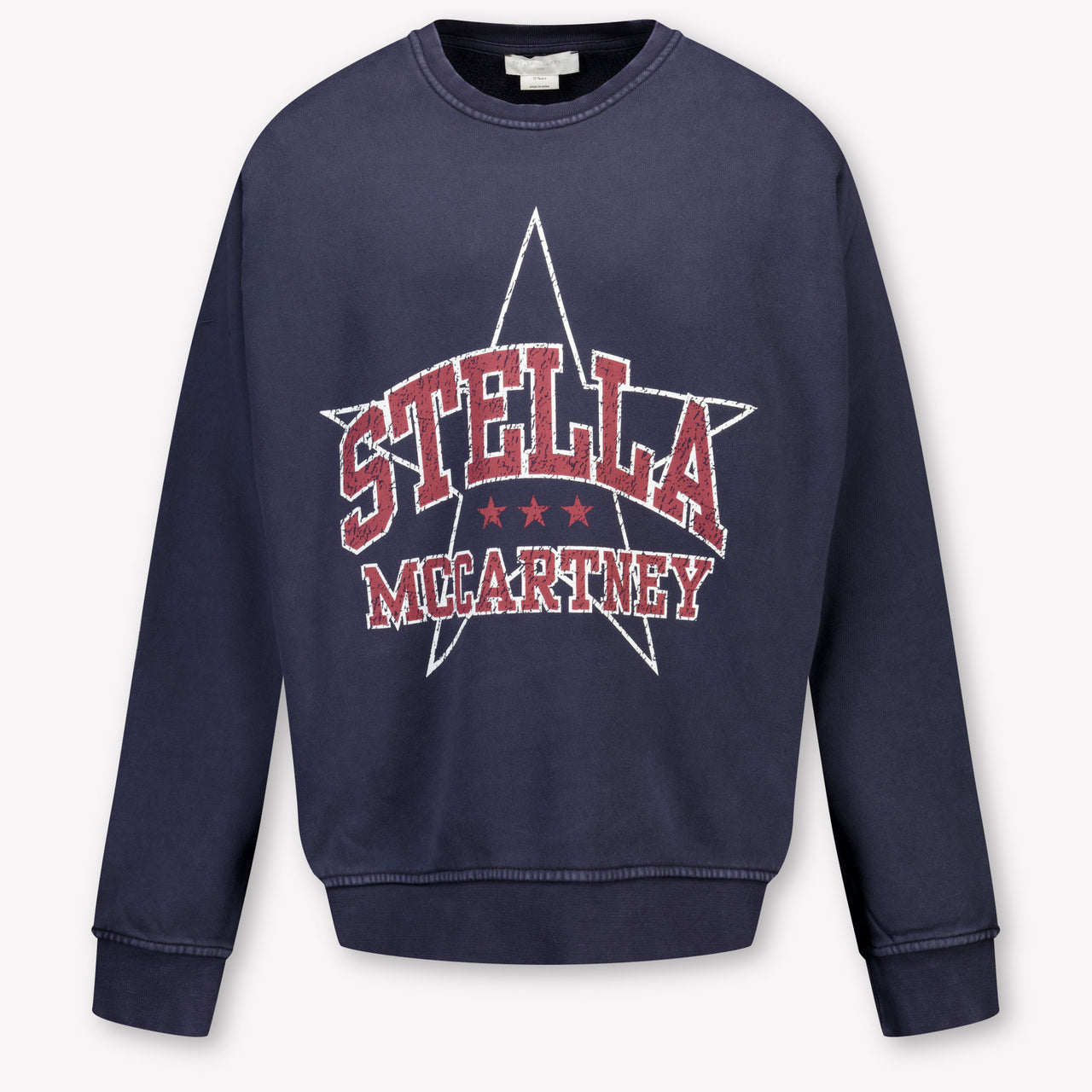 Stella McCartney Kinder Mädchen Pullover rein Marineblau
