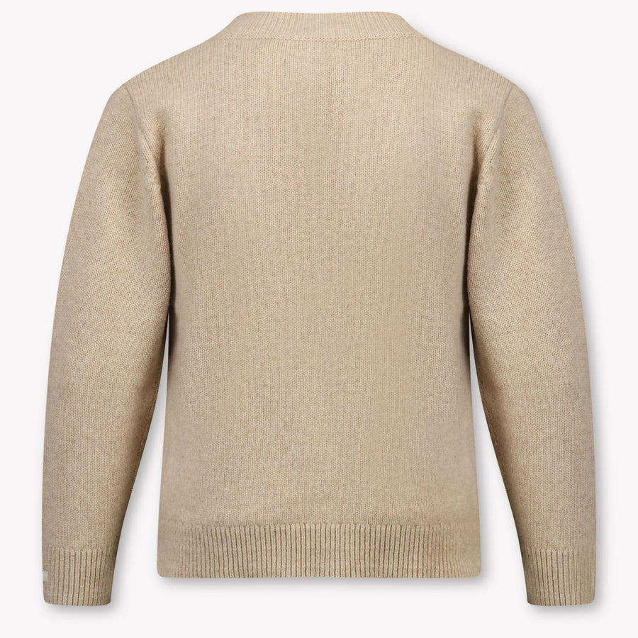 Donsje Amsterdam Kids Boys Sweater In Beige