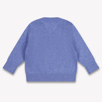 Tommy Hilfiger Baby Jungen Pullover rein Blau