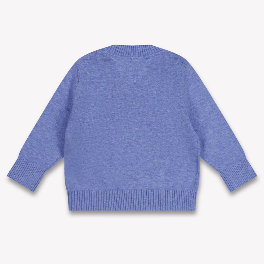 Tommy Hilfiger Baby Jungen Pullover rein Blau