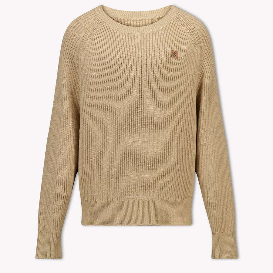 Calvin Klein Boys Sweater in Beige