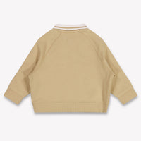 Tommy Hilfiger Baby Jungen Pullover rein Beige