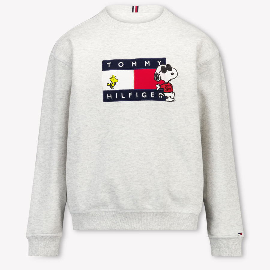 Tommy Hilfiger Kids Unisex Sweater In Gray