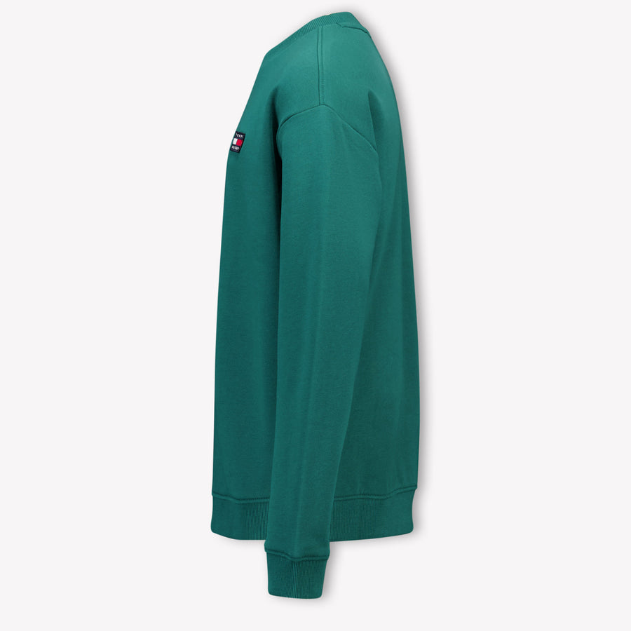Tommy Hilfiger Enfants Unisexe Pull en Vert