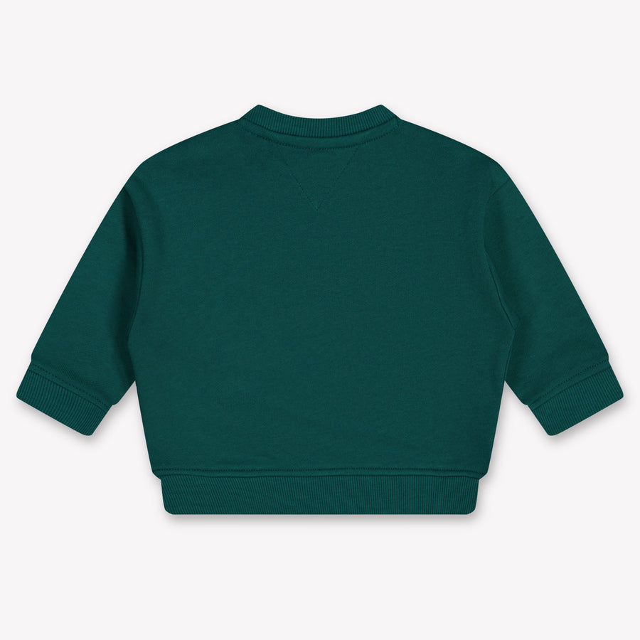 Tommy Hilfiger bebe Chicos Camiseta adentro Verde Oscuro