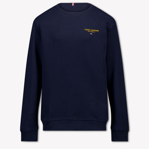 Tommy Hilfiger Boys Sweater in Navy