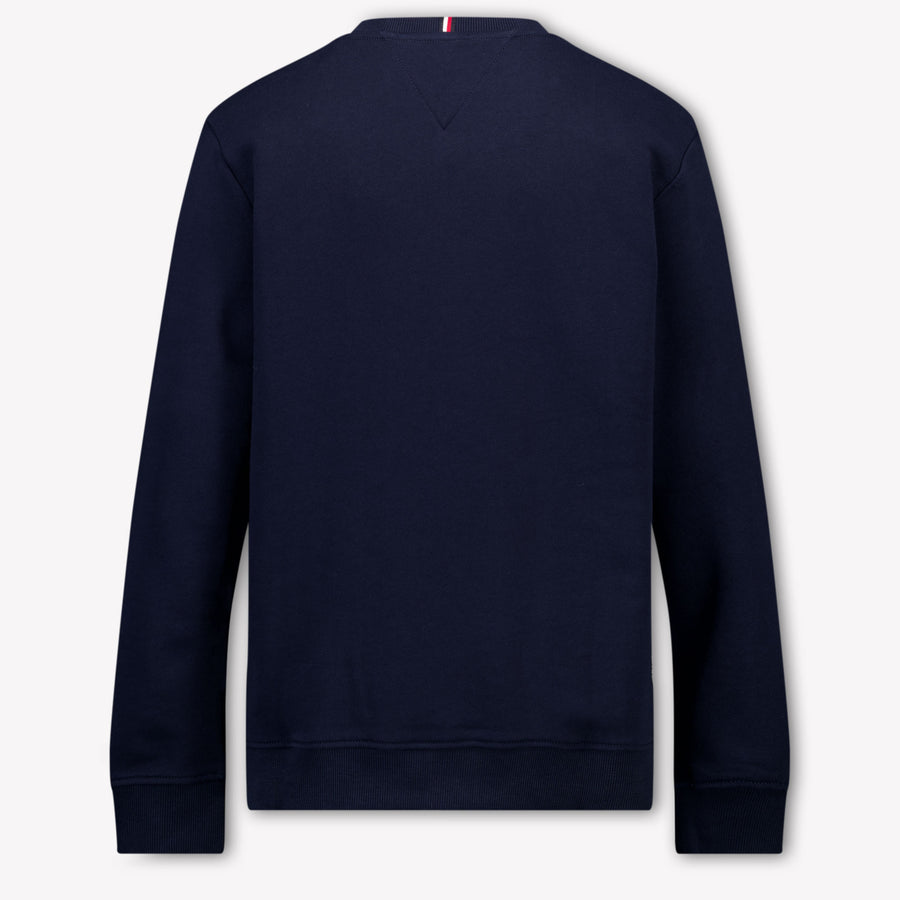 Tommy Hilfiger Boys Sweater in Navy