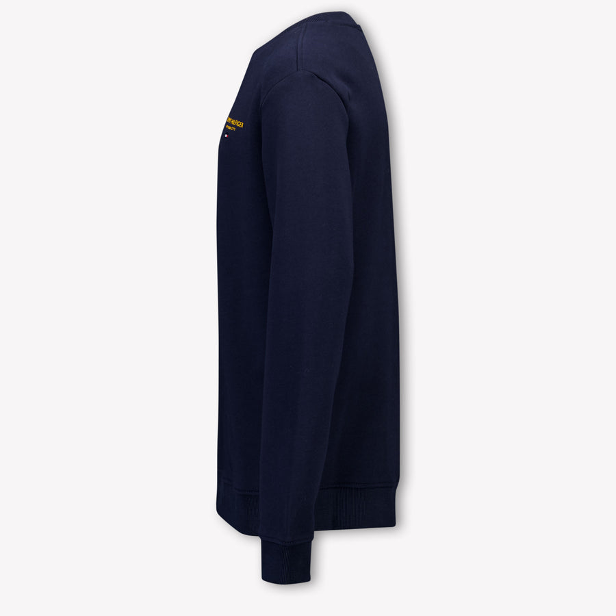 Tommy Hilfiger Boys Sweater in Navy