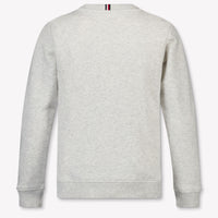 Tommy Hilfiger Kinder Jungen Pullover In Grau