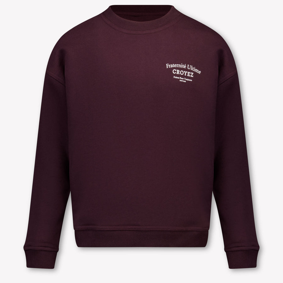 Croyez Kinder Garçons Pull En Bordeaux