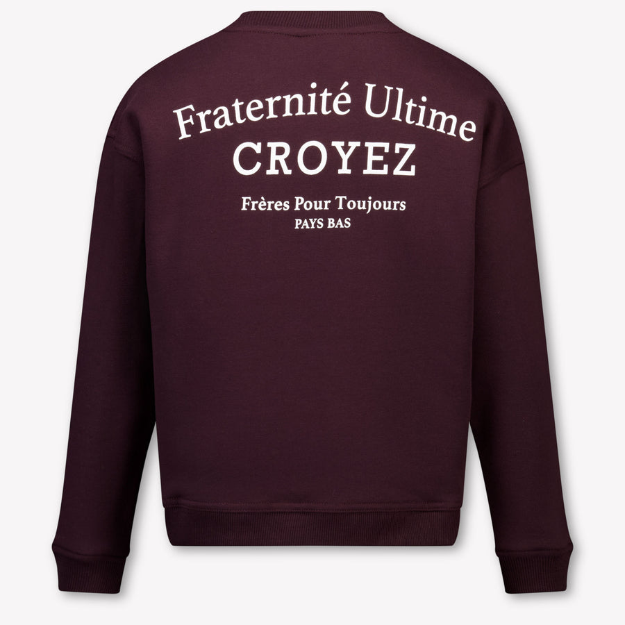 Croyez Kinder Garçons Pull En Bordeaux