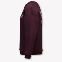 Croyez Kinder Garçons Pull En Bordeaux