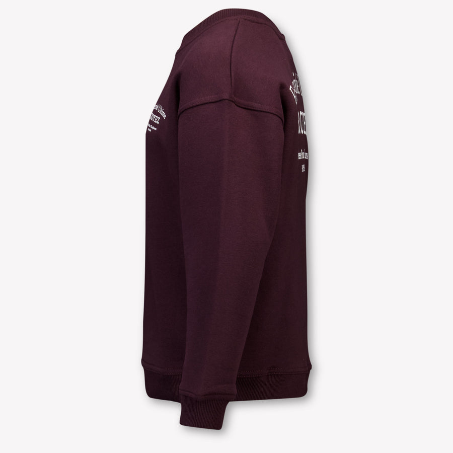 Croyez Kinder Garçons Pull En Bordeaux