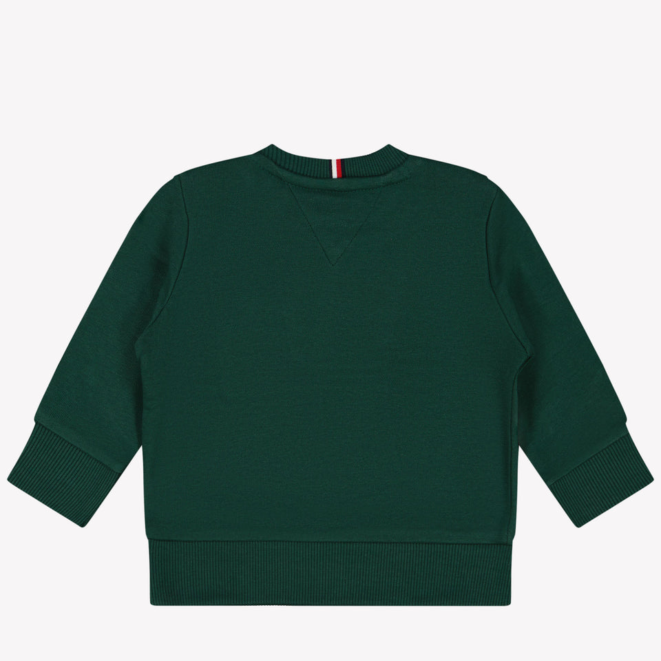 Tommy Hilfiger Bébé Garçons Pull-over Vert