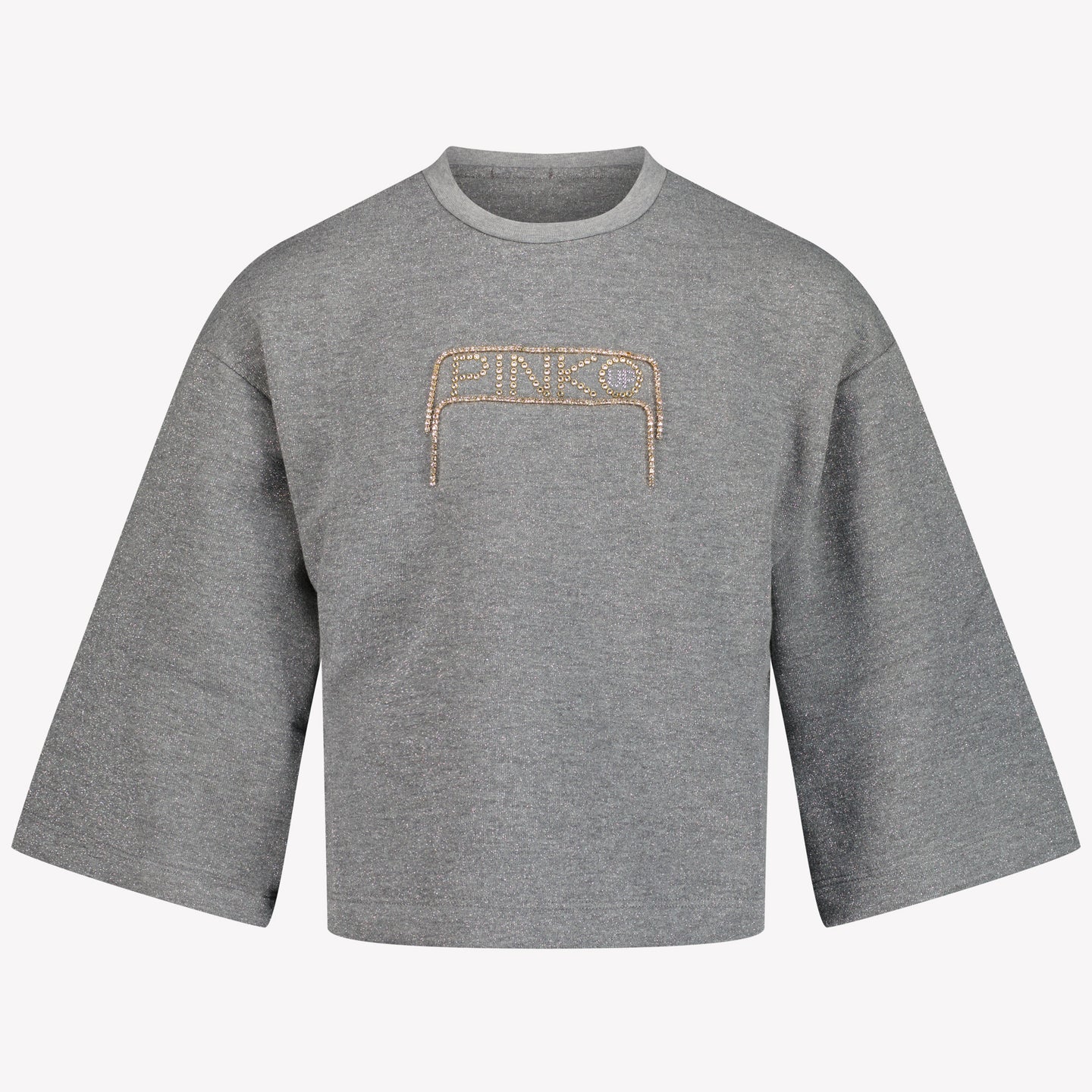 Pinko Filles Pull-over Gris