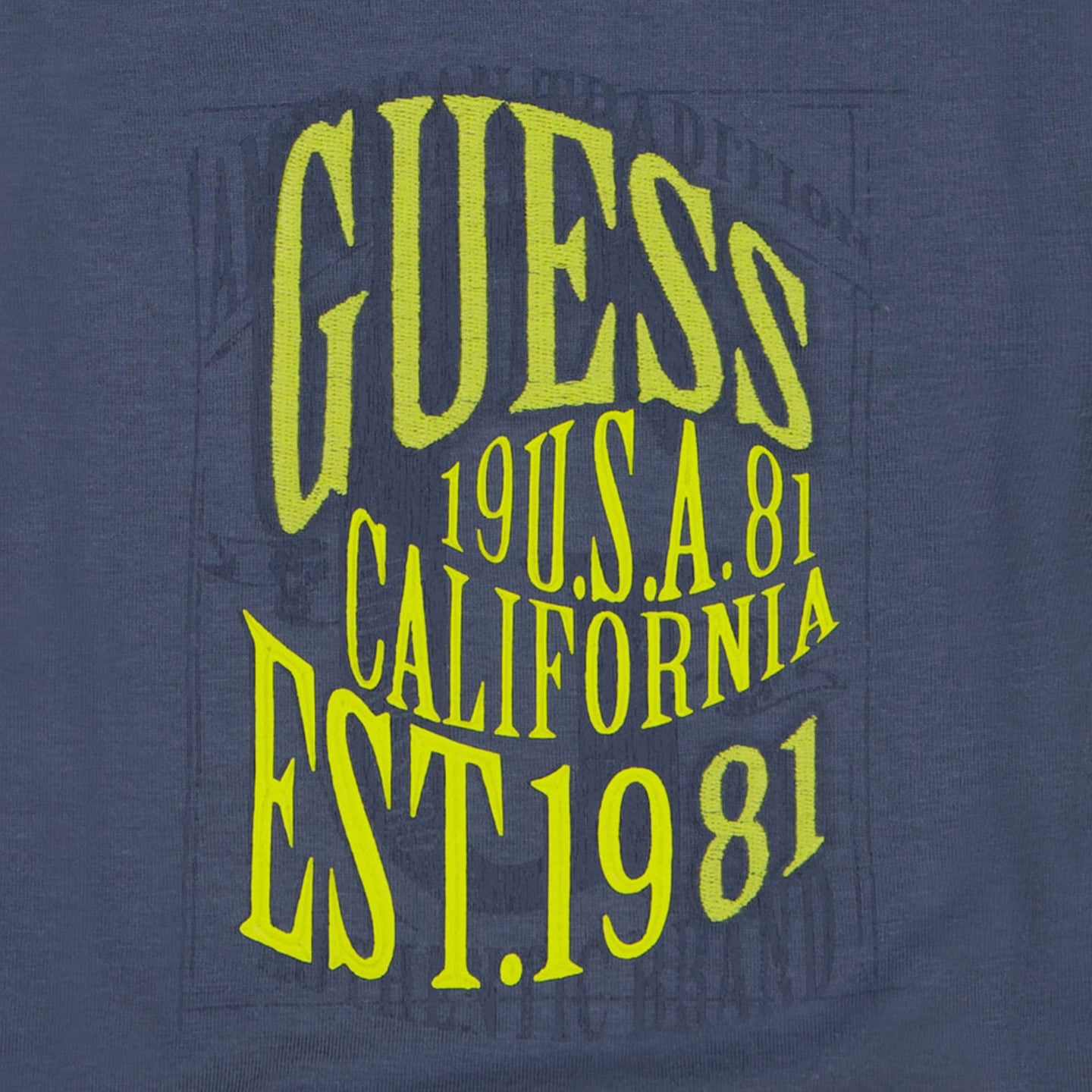 Guess Bébé Garçons T-shirt Bleu