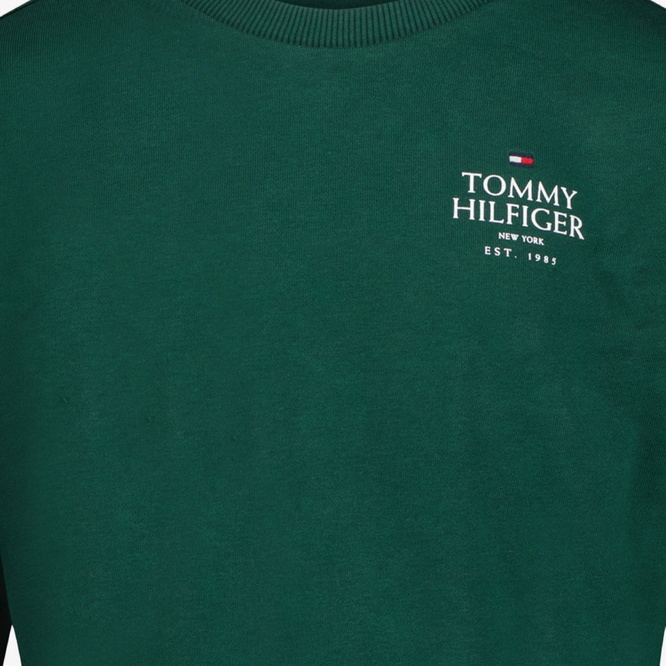 Tommy Hilfiger Chicos Suéter Verde