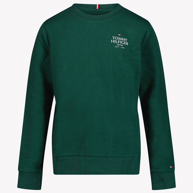 Tommy Hilfiger Chicos Suéter Verde