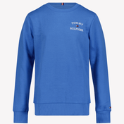 Tommy Hilfiger Kids Boys Sweater Blue