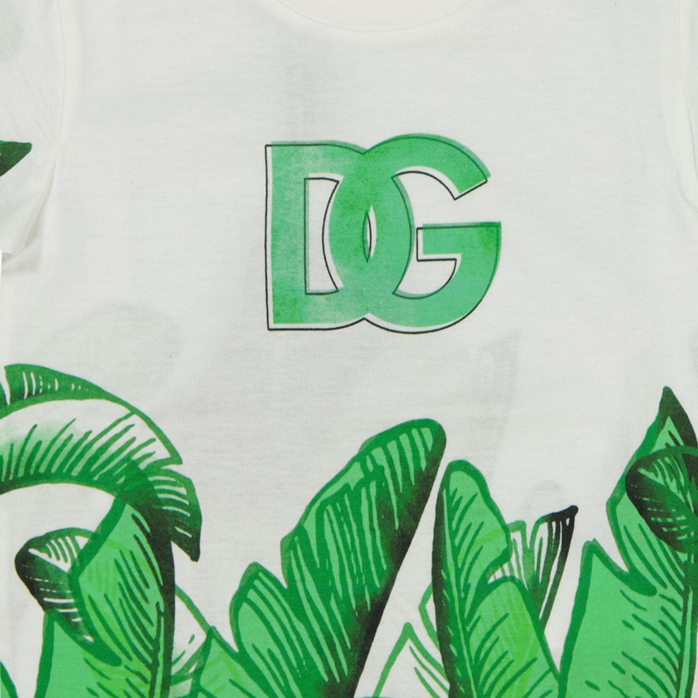 Dolce & Gabbana Baby Jongens T-Shirt Wit 3/6