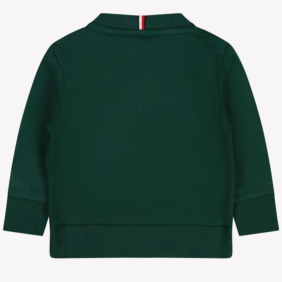 Tommy Hilfiger Bébé Garçons Pull-over Vert